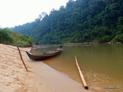 Rivière et jungle